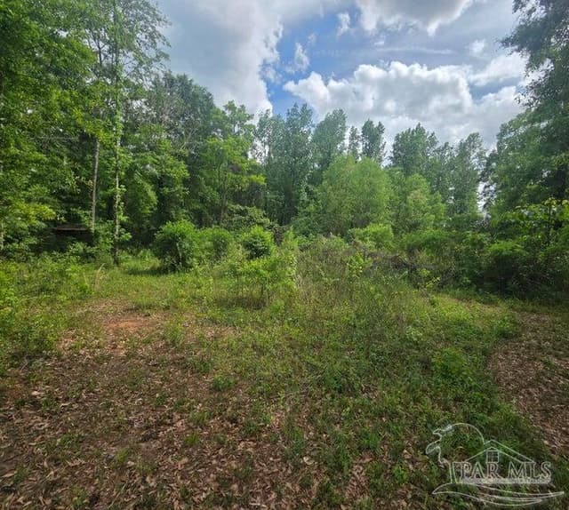Parcel B 2000 Molino Rd, Molino FL 32577 photo 18