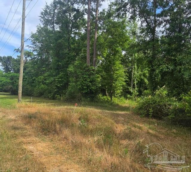 Parcel B 2000 Molino Rd, Molino FL 32577 photo 11