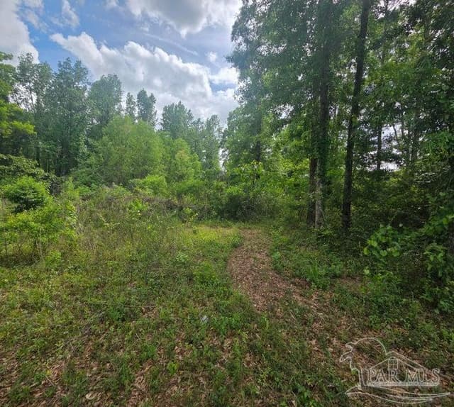 Parcel B 2000 Molino Rd, Molino FL 32577 photo 19