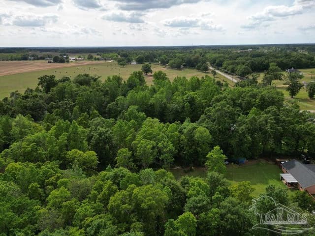 Parcel B 2000 Molino Rd, Molino FL 32577 photo 4