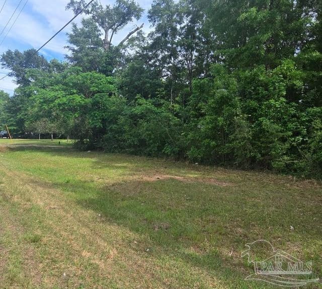 Parcel B 2000 Molino Rd, Molino FL 32577 photo 8