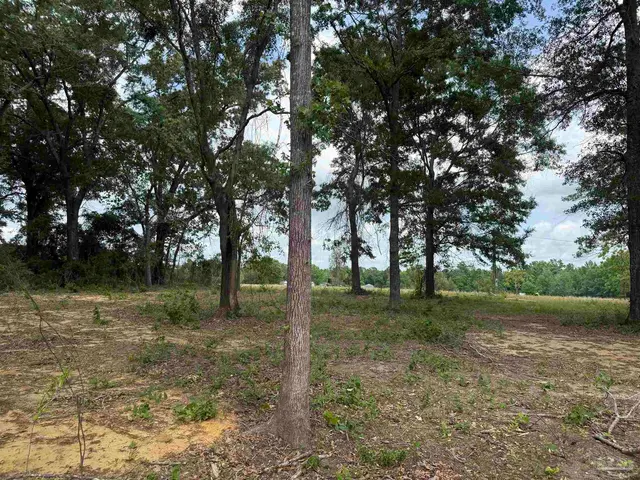 3308 Deloach Ln property photo