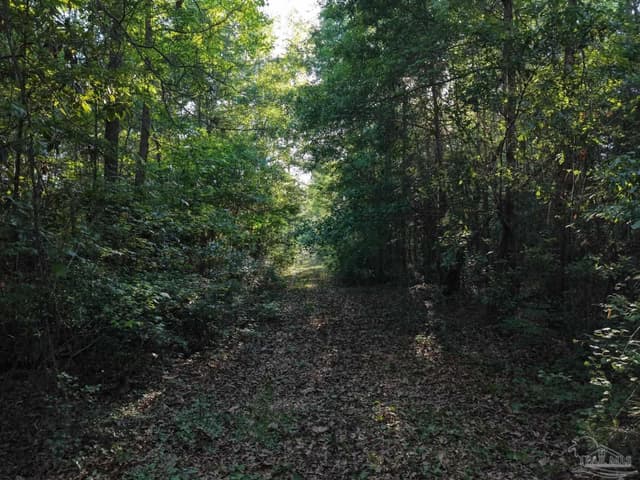 2200 Fannie Rd, Century FL 32535 photo 6