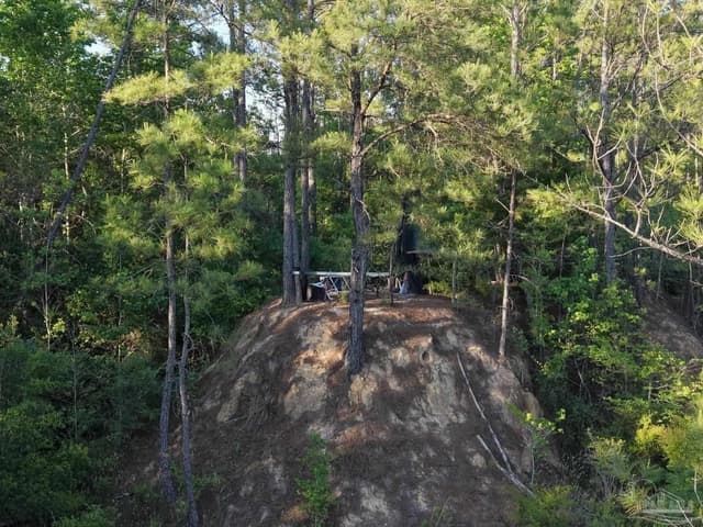 2200 Fannie Rd, Century FL 32535 photo 13