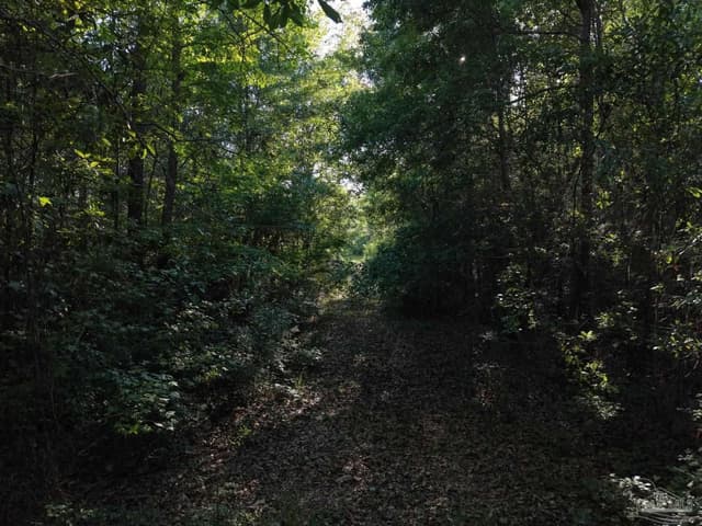 2200 Fannie Rd, Century FL 32535 photo 17