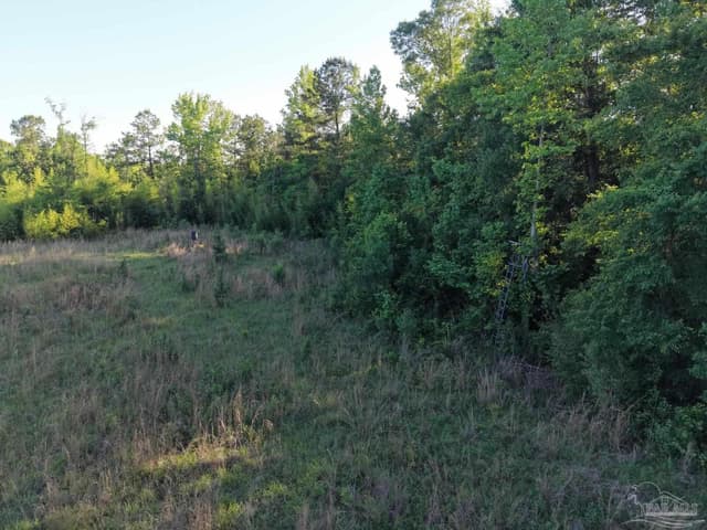 2200 Fannie Rd, Century FL 32535 photo 12