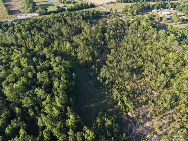 2200 Fannie Rd, Century FL 32535 photo 22