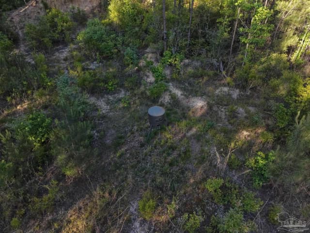 2200 Fannie Rd, Century FL 32535 photo 7