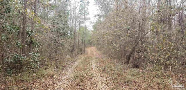 2200 Fannie Rd property photo