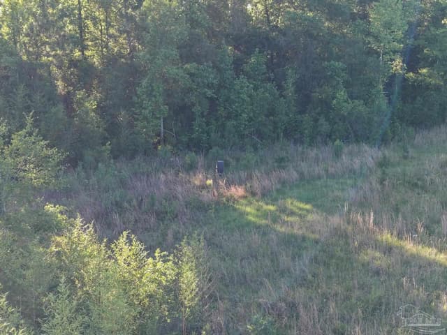 2200 Fannie Rd, Century FL 32535 photo 9
