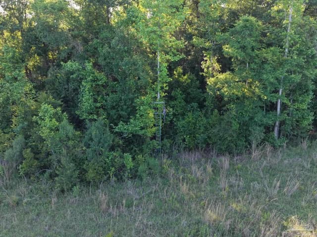 2200 Fannie Rd, Century FL 32535 photo 10