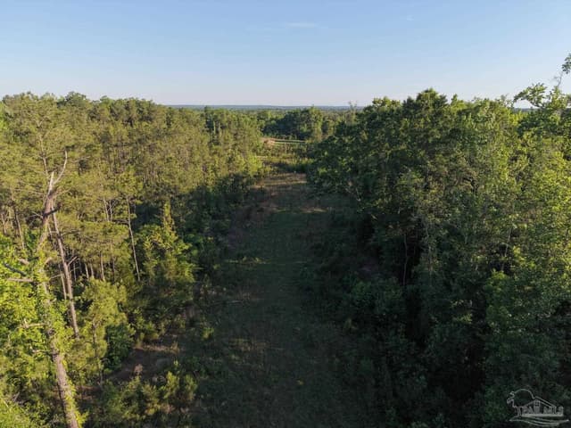 2200 Fannie Rd, Century FL 32535 photo 8