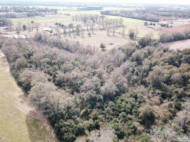 13 acres Hwy 4, Jay FL 32565 photo 5