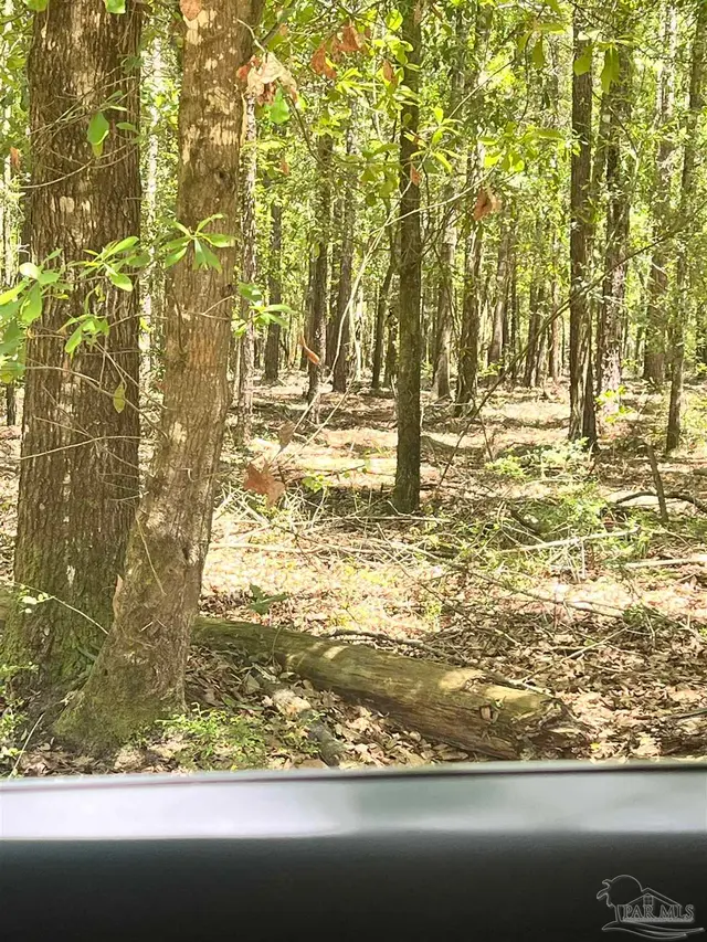 Colts Crossing Ln property photo
