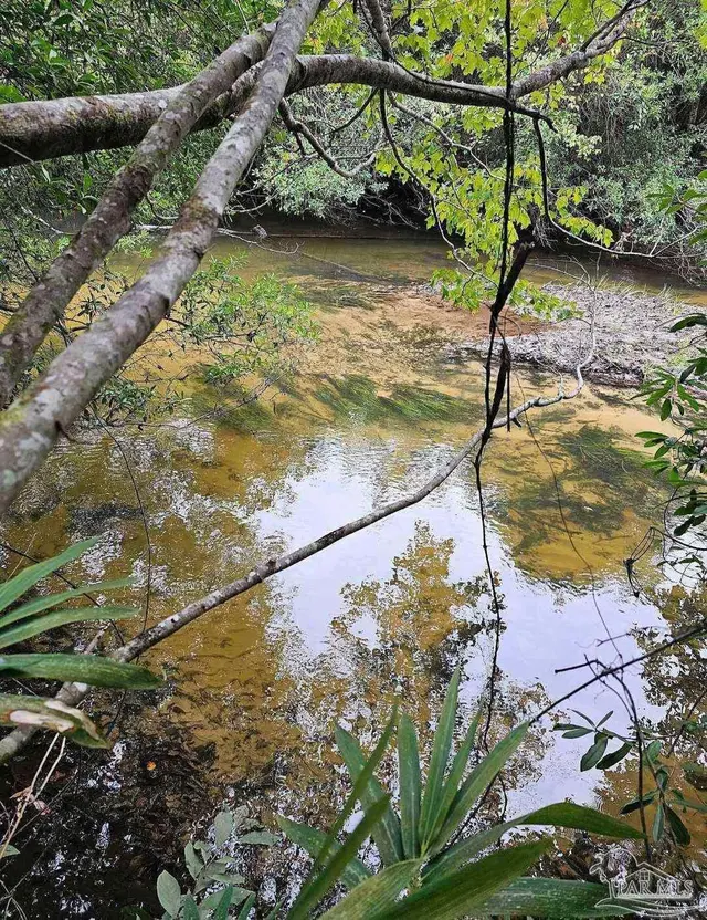 Colts Crossing Ln property photo