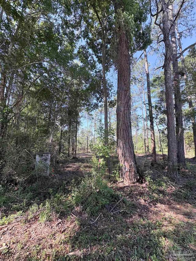 Del Monte St, Milton FL 32583 photo 5