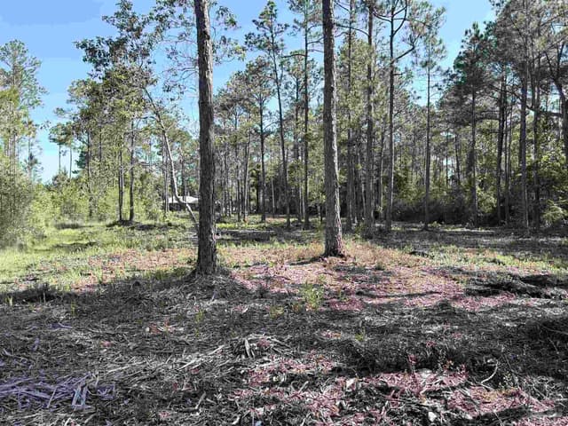 Del Monte St, Milton FL 32583 photo 12