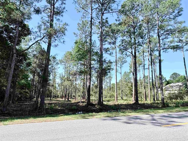 Del Monte St, Milton FL 32583 photo 16