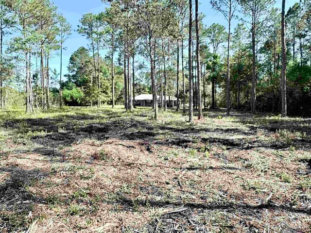 Del Monte St, Milton FL 32583 photo 15