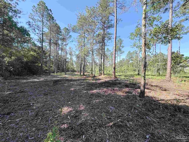 Del Monte St, Milton FL 32583 photo 6