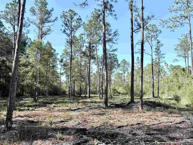 Del Monte St, Milton FL 32583 photo 9