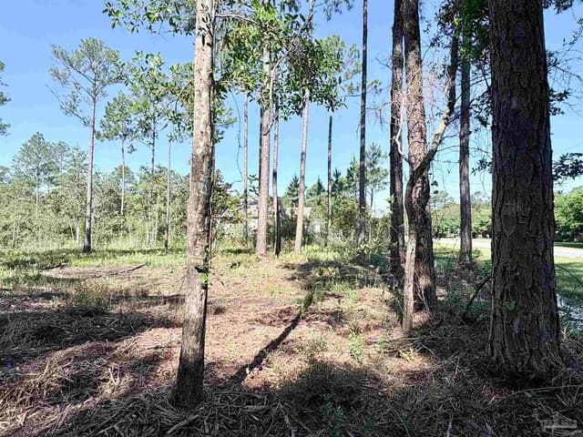 Del Monte St, Milton FL 32583 photo 7