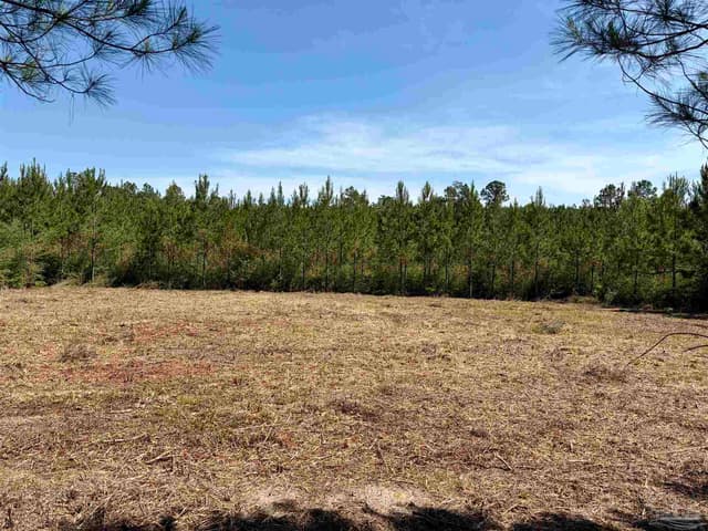 0000 Mineral Springs Rd, Jay FL 32565 photo 6