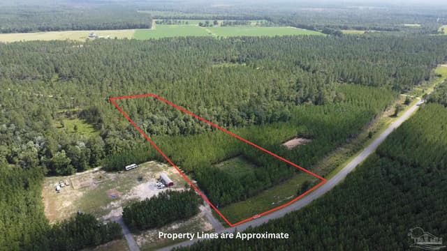 0000 Mineral Springs Rd, Jay FL 32565 photo 13