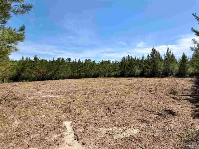 0000 Mineral Springs Rd, Jay FL 32565 photo 7