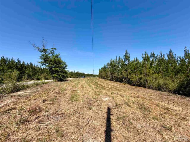 0000 Mineral Springs Rd property photo
