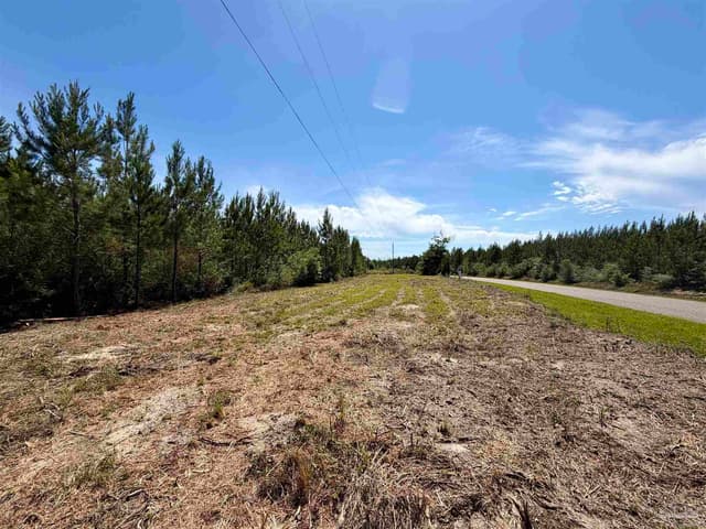 0000 Mineral Springs Rd, Jay FL 32565 photo 9