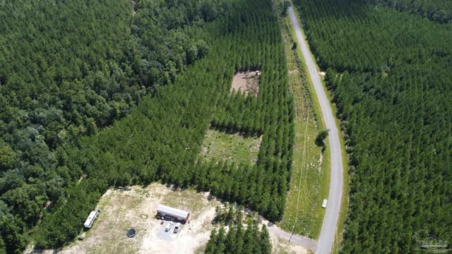 0000 Mineral Springs Rd, Jay FL 32565 photo 15