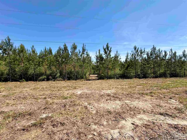 0000 Mineral Springs Rd property photo
