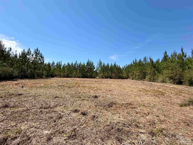0000 Mineral Springs Rd, Jay FL 32565 photo 8