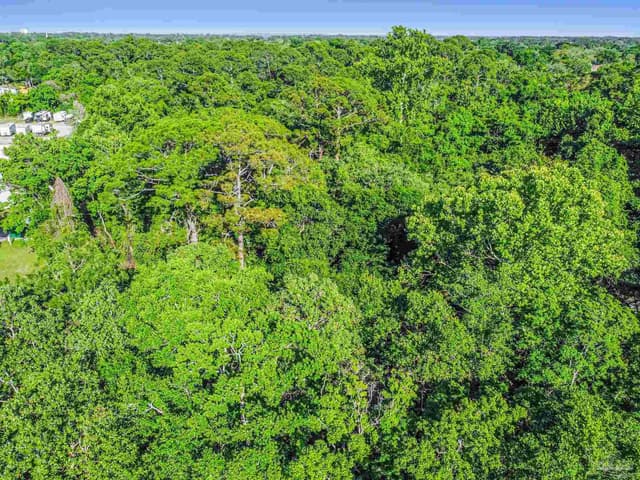 700 Wayne Ave, Pensacola FL 32507 photo 19