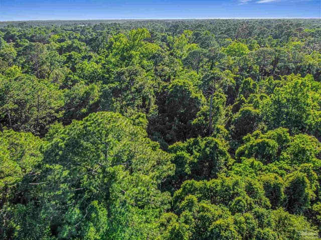 700 Wayne Ave, Pensacola FL 32507 photo 15