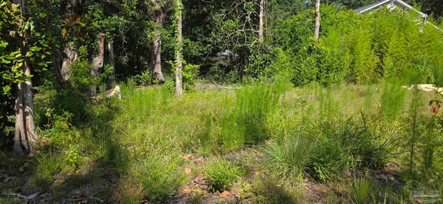 5056 San Miguel St, Milton FL 32583 photo 20