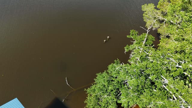 5056 San Miguel St, Milton FL 32583 photo 40