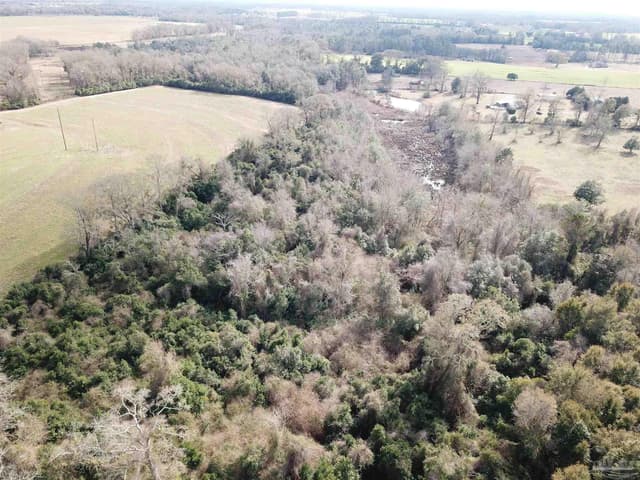 Lot 1 Hwy 4, Jay FL 32565 exterior