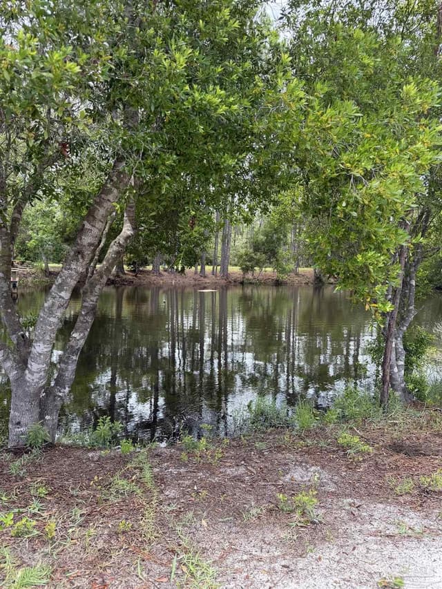 1785 Smugglers Cove Dr, Gulf Breeze FL 32563 photo 9