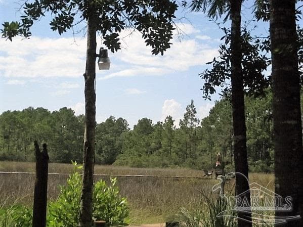 0 Ruth Ct, Milton FL 32583 photo 6