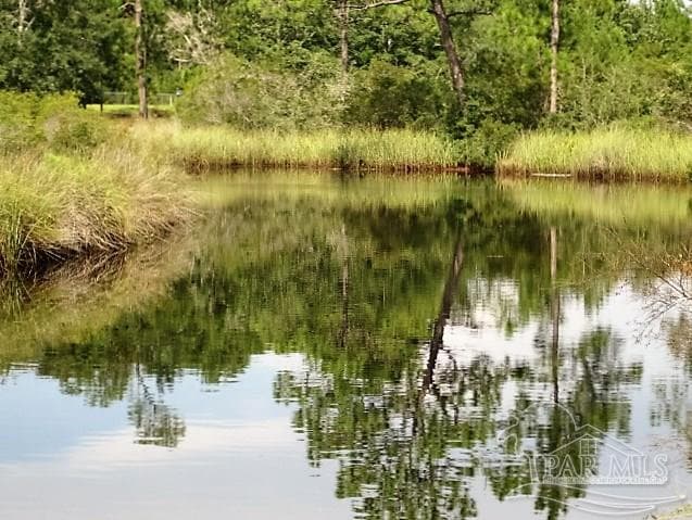 0 Ruth Ct, Milton FL 32583 photo 4