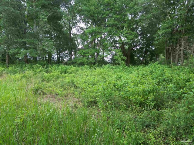 Lot 5N Aubrey Ln, Pace FL 32571 photo 13