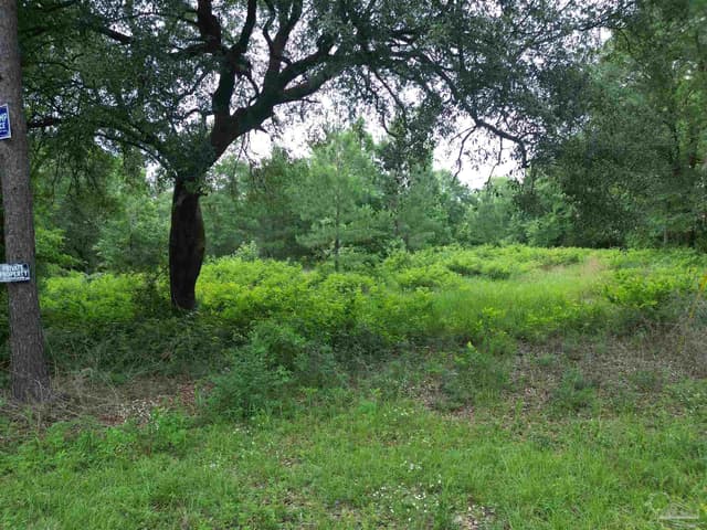 Lot 5N Aubrey Ln, Pace FL 32571 photo 16