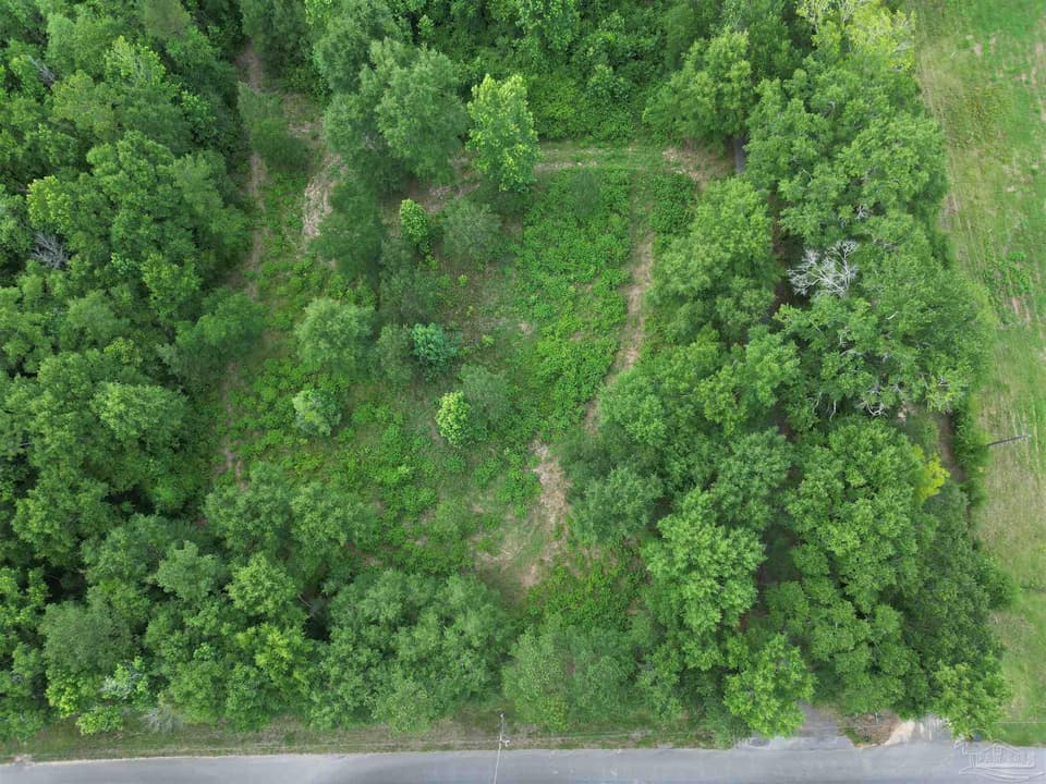 Lot 5N Aubrey Ln, Pace FL 32571 photo 1