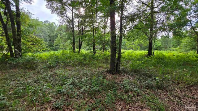 Lot 5N Aubrey Ln, Pace FL 32571 photo 10