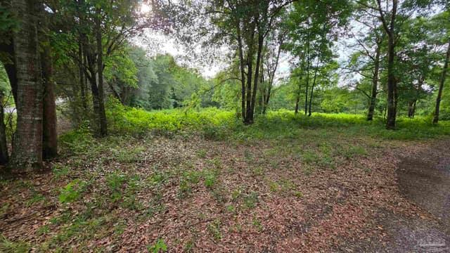 Lot 5N Aubrey Ln, Pace FL 32571 photo 11