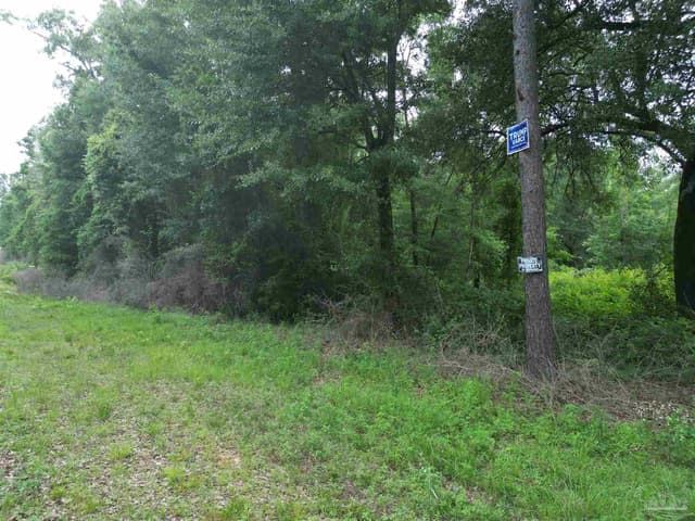 Lot 5N Aubrey Ln, Pace FL 32571 photo 19