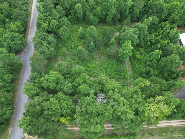 Lot 5N Aubrey Ln, Pace FL 32571 photo 4