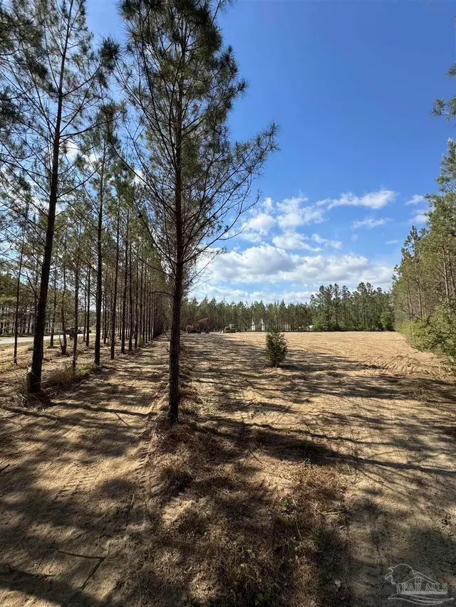 Lot 53 Sage Forest Ln property photo
